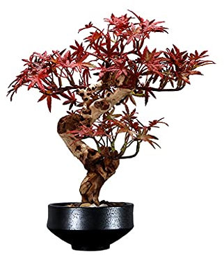 Künstlicher Bonsai-Baum Künstliche rote Ahorn-Topfpflanzen, gefälschte Grünpflanzen, Bonsai, Zen-Dekoration, Ausstellungshalle, Raum, Teestube, Arbeitszimmer, Einkaufszentrum, Restaurant Gefälschte Pf