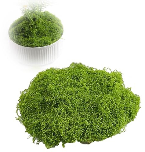 arrderly 60 g de mousse artificielle pour décoration créative - Feuilles de mousse réutilisables idéales pour la décoration murale, les aquariums et le modélisme