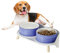 Hunde Napfset Hundenapf Set Erhöht - Doppelnapf Keramik mit Spritzschutz Ständer - Bunte Spirals Hundenäpfe für Futter und Wasser - Ideal für Kleine bis Mittelgroße Hunde - 2 x 800 ml - Blau