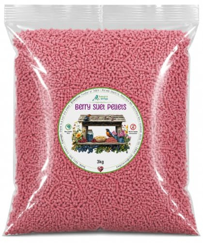 Wild Bird Food (3kg, Berry Suet Pellets)