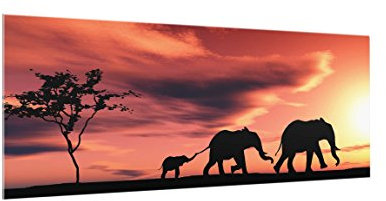 micasia Glas Spritzschutz inkl. Aufhängung 4 mm starke Küchenrückwand Tiere Glasrückwand - Made in Germany - Modern ESG Wandpaneel Küche Herd Küchenspiegel 2567 (100x40cm)