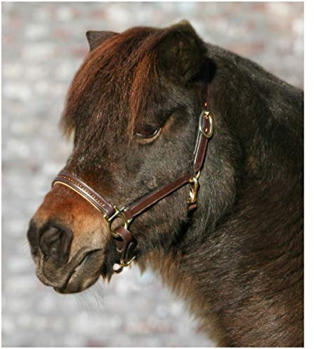WALDHAUSEN Star Lederhalfter Diamond