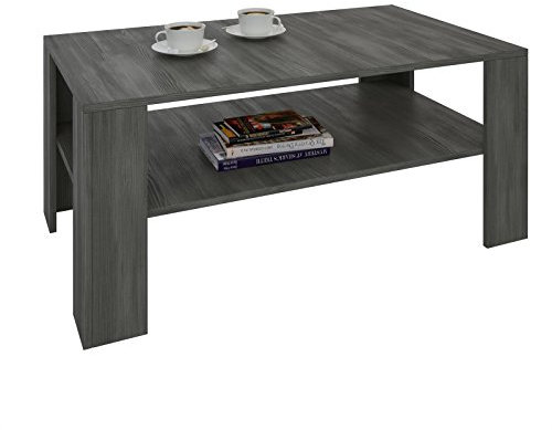CARO-Möbel Couchtisch Wohnzimmertisch ANIMO in Esche grau mit Ablage, 100 x 60 cm