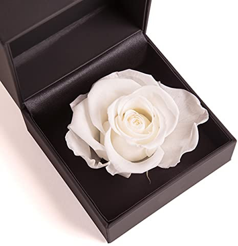 ROSEMARIE SCHULZ Heidelberg Rosenbox 1 Infinity Rose Weiß konserviert Blumen Geschenkbox - 11x11cm Ringdose mit Blumen Deckel (Weiß)