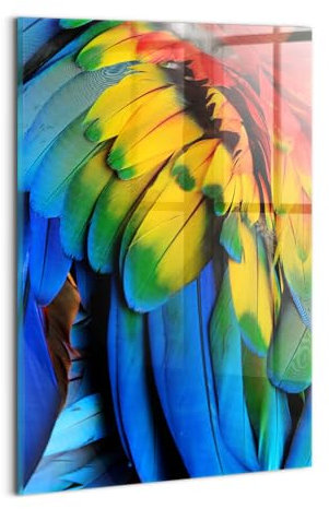 Wallfluent Wandbild Gehärtetes Glas Wanddekoration 20x30cm Für die Küche Badezimmer und Schlafzimmer Dicke 4mm Glasbild Mit Motiv Bild - Bunte Flügel eines Ara-Papageien