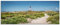 ARTland Wanddeko Glasbilder Wandbild Glas Bild einteilig 125x50 cm Querformat Strand Landschaft Dünen Gräser Leuchtturm Insel Amrum Nordsee Maritim S5XX