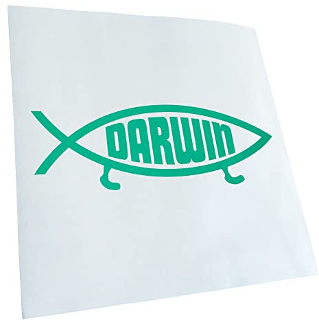 Kiwistar - Autoaufkleber - matt Türkis - 30x10cm Darwin Fisch - Heckscheibe Auto Aufkleber wetterfest für Kfz LKW Mofa Truck - Sticker außen selbstklebend Tuning Zubehör für Fenster Fahrzeug Scheibe