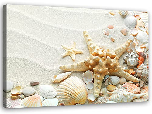 Feeby Vlies Leinwandbild Muscheln Strand Seesterne 60x40 cm Wanddeko Design Kunstdruck Zimmerdeko Bilderwand Sand Maritimes Motiv Beige