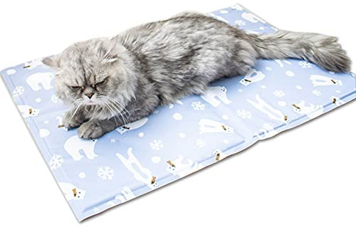 Kühlmatte für Hunde, Pet Cooling Gel Pad, kühldecke hundebett, Selbstkühlende Matten Geeignet für heiße Sommer, Kühlkissen für Hund Geeignet für Zuhause, Auto, Outdoor, Zwinger L (50 * 70cm)