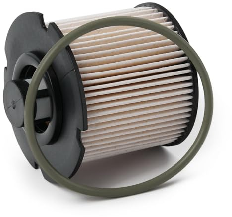 Blue Print ADP152302 Fuel Filter, pack of one