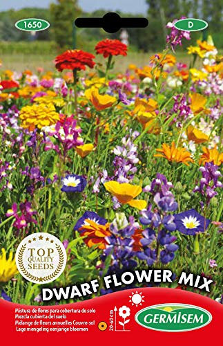 Germisem Dwarf Semillas de Mezcla de Flores 8 g, EC1650