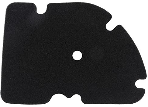 Elemento Filtro Aria, 88600352, Elemento di Ricambio Filtro Aria per Vespa GTS 250 GTS 300 GT300 GTV250