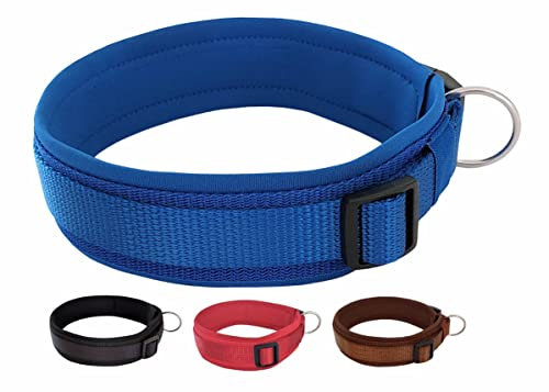 BUDDYPACK-Halsband Extra-Breit & Weich mit Neopren-Polster für Kleine und Große Hunde (Blau, XXS)