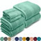 LEBENGOOD - Ensemble de Serviettes de Bain, Coton de qualité supérieure, 550 g/m², 4 Toilettes, 2 lavabos, 2 douches, Extra Doux, Absorbant et résistant (Pack 8 Aqua)