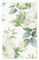 Bandiera Fiore Bianco Foglie Verdi Colore Vivido Garden Flag Decor Bandiere Pirata Per Conferenza Raduni Interno 3X5Ft