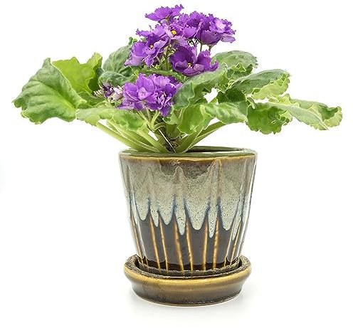 200 pcs veilchen samen mehrjährig - bloom pflanzenkübel mini garten usambaraveilchen,Matthiola incana,Violette blumenwiese samen mehrjährig winterhart pflanztöpfe balkon hochbeet bonsai