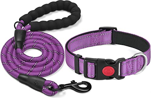 haapaw reflektierendes Hundehalsband gepolstert mit weichem Neopren atmungsaktiv einstellbar Nylon Hundehalsbänder für kleine mittlere große Hunde
