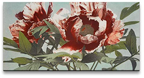 Paul Sinus Remaster 120x60cm Ogawa Kazumasa berühmte Fotografie wunderschöne Blume Pfingstrose