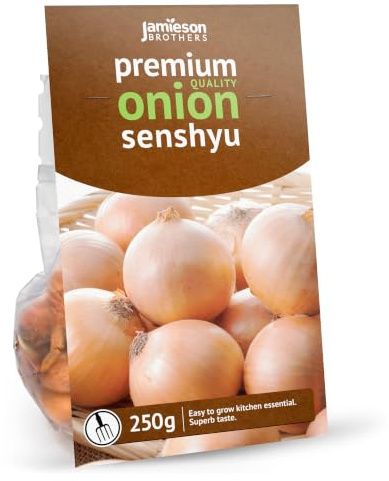 Senshyu Winter Onion Sets (250g, Approx 50 Bulbs) for Planting Now in UK Autumn by Jamieson Brothers