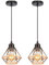 iDEGU 2 Stück Hängelampen 16CM Industrie Pendelleuchte Vintage Lampenschirme aus Metall und Hanfseil Käfig Design Retro E27 Deckenleuchte Schwarz Pendelleuchte für Flur Esszimmer Küche Schlafzimmer