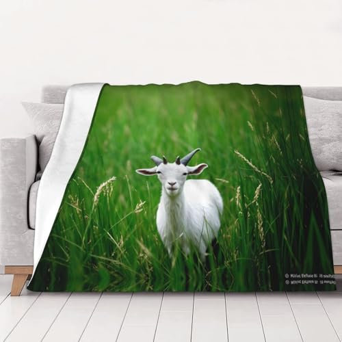 Modische Flanell-Bettdecke, Schaf, 127 x 101 cm, gemütliche Decke, weiche und warme Sofadecke, Schlafzimmer-Decke