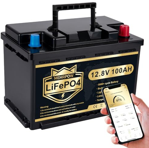 LiFePO4 12V 100AH Autobatterie 100A BMS über 5000 Mal Tiefzyklus Lithium Akku 1280W Abschaltschutz bei Niedriger Temperatur für Wohnmobil, Camping, Boot, Solare Heimanlagen
