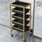 Friseurwagen Rollwagen Kosmetikwagen mit Rollen Friseur Wagen Tattoo Wagen Trolley Aufbewahrungswagen Cart(Gold)
