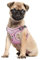 Hundegeschirr Katzengeschirr Set mit Leine ausbruchsicher - Antizug Geschirr mit Brustring Mesh Brustgeschirr für mittelgrosse Hunde und Grosse Katzen Pink M