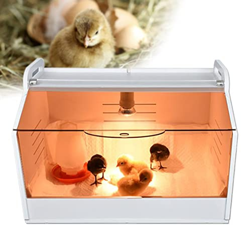 Kaichenyt Inkubator, Ei Vollautomatischer Brutapparat Küken Kükenwärmebox mit Thermometer und WärmeLampe Brutautomat für Kleintiere