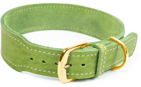 CopcoPet Hundehalsband Leder – Handgefertigtes Lederhalsband für mittelgroße, große Hunde – Halsband Hund – Verstellbar & Robust – Zoe, Apfelgrün, 45 – 50cm 40mm breit, Messing Beschläge