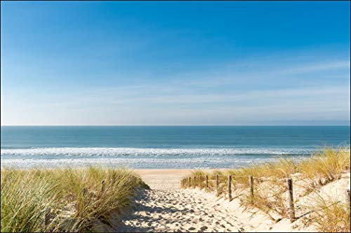 Muralo Fototapete Strand 240 x 360 cm Vlies Tapete Wandtapete Dünen Meer Himmel Wohnzimmer Schlafzimmer Moderne Wandbilder XXL Natur Panorama Wasser Wand Dekoration