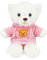 Kuscheltier Teddybär Plüschtier, kuscheltier bär mit Kapuze，Stofftier Schmusetier zum Kuscheln & Spielen, Plüschtier Teddybär Geschenk, Teddybär Plush Dekoration für Jungen und Mädchen(Rosa 30cm)