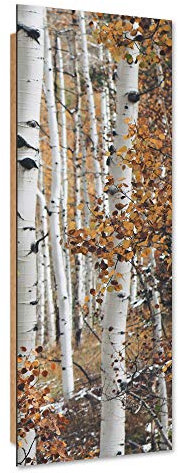 Feeby Wanddeko Birken Kunst modern Bilder Wald Weiß 40x120 cm