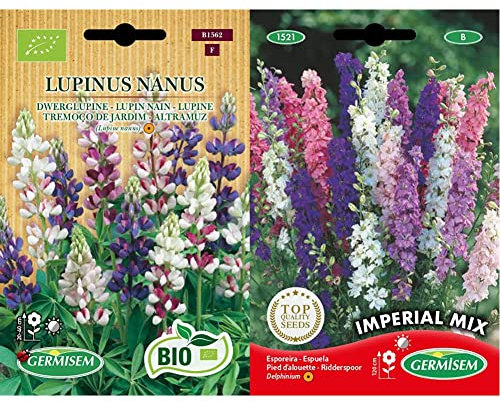 Germisem Lupine LUPINUS NANUS, ECBIO1562 & Sommer-Rittersporn EC1521 mehrfarbig