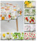 laro 140cm runde Wachstuch Tischdecke abwaschbar Wachstuchtischdecke mit Saum-Eingefasst-Paspelband, Muster:Granatapfel Rot Orange Weiß, Größe: Rund 140cm