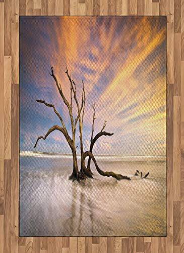 ABAKUHAUS Landschaft Teppich, Toter Baum Sun Driftwood, Deko-Teppich Digitaldruck, Färben mit langfristigen Halt, 120 x 180 cm, Orange und Beige