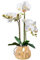 WYUYIW Künstliche Blume im Topf, künstliche Orchidee, weiße Kunstblumen mit Vase, PU-Phalaenopsis, künstliche Blume in Vase, Tafelaufsatz für Esstisch, Wohnzimmer