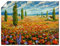 ARTLAND Wanddeko Poster & Kunstdrucke Wandposter Bild ohne Rahmen 80x60 cm Querformat Landschaft Blumenbilder Mohnblume Natur Gemälde Rot U1SV