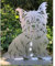 Terma Stahldesign Rost Hund Lebensgroß Handmade Germany tolle Gartendeko aus Metall Figur deko Geschenk Rostfigur Garten deko Gartenfigur, hundegrab deko (Yorkshire Terrier 50 cm)