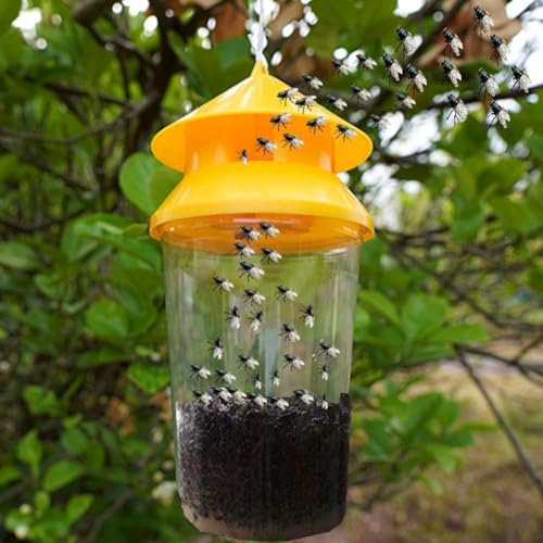 Fruit Fly Trap Killer Plastic Drosophila Trap Fly Fruit Fly killer Catcher Insect Pest Orchard Products Trap refill refill pack wasps bee twin bee Hanging Wasp Insect and indoor Trap Catcher n