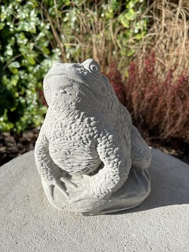 OLOMA Amazing sitting frog Concrete frog sculpture Garden frog statue Stone frog ornament Cute frog decoration Unique animal figurine Garden gift Handmade animal sculpture Outdoor frog ornament