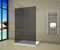 Aica Sanitär Freistehende Duschwand Walk In Dusche 117cm Duschabtrennung 10mm NANO Graues Glas Duschtrennwand 200cm Höhe Splitterschutzfolie