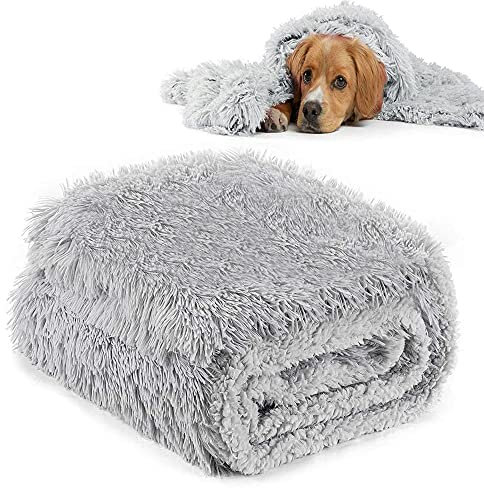CHMMY Flauschig Hundedecke Weiche Katzendecke Fleecedecke Waschbare Deck für Haustier Hunde Katzen Welpen Weiche Warme Matte für Haustier Hunde Katze Welpe (Grau,L:75 x 100 cm)