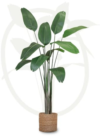 Maia Shop Plantas Artificiales Decorativas - Ave del Paraíso 180 cm con Tronco Natural, Planta Artificial Grande, Decoración Hogar, Arbol Artificial