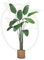 Maia Shop Plantas Artificiales Decorativas - Ave del Paraíso 180 cm con Tronco Natural, Planta Artificial Grande, Decoración Hogar, Arbol Artificial