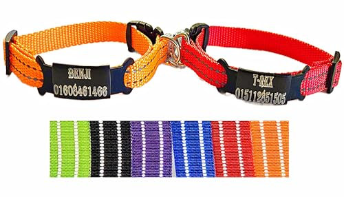 2X personalisiertes Katzenhalsband personalisiert mit Name graviert Katze Halsband reflektierend Leuchtend aus Nylon mit Glöckchen (Rot Und Orange)