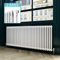 ELEGANT 600 x 1484 mm Traditional Column Radiators Horizontal Double Panel Cast Iron Central Heating Rads