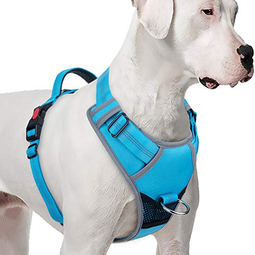 ThinkPet No-Pull Hundegeschirr, Atmungsaktiv Brustgeschirr für Kleine Mittlere Große Hunde, Einstellbar Weich Laufgeschirre Sicher Kontrolle Gepolstert Reflektierendes Sicherheitsgeschirr