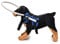 Eurobuy Blind Dog Safety Accessories Dog Harness Guiding Device Anti-Collision Head Protection Ring Adjustable Dog Halo for Most Dogs
