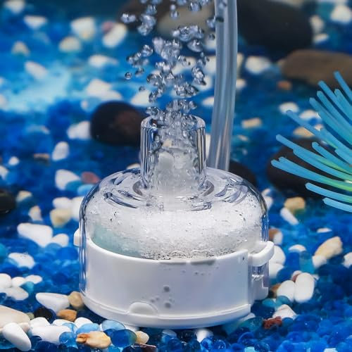 Pawfly Mini Filtre Aquarium Quiet Betta Fry Shrimp Filtre Biologique pour Petits Poissons avec Mousse et Boules filtrantes Filtre Submersible pour Aquariums jusqu'à 20 L (Pompe et Tuyau Non Inclus)